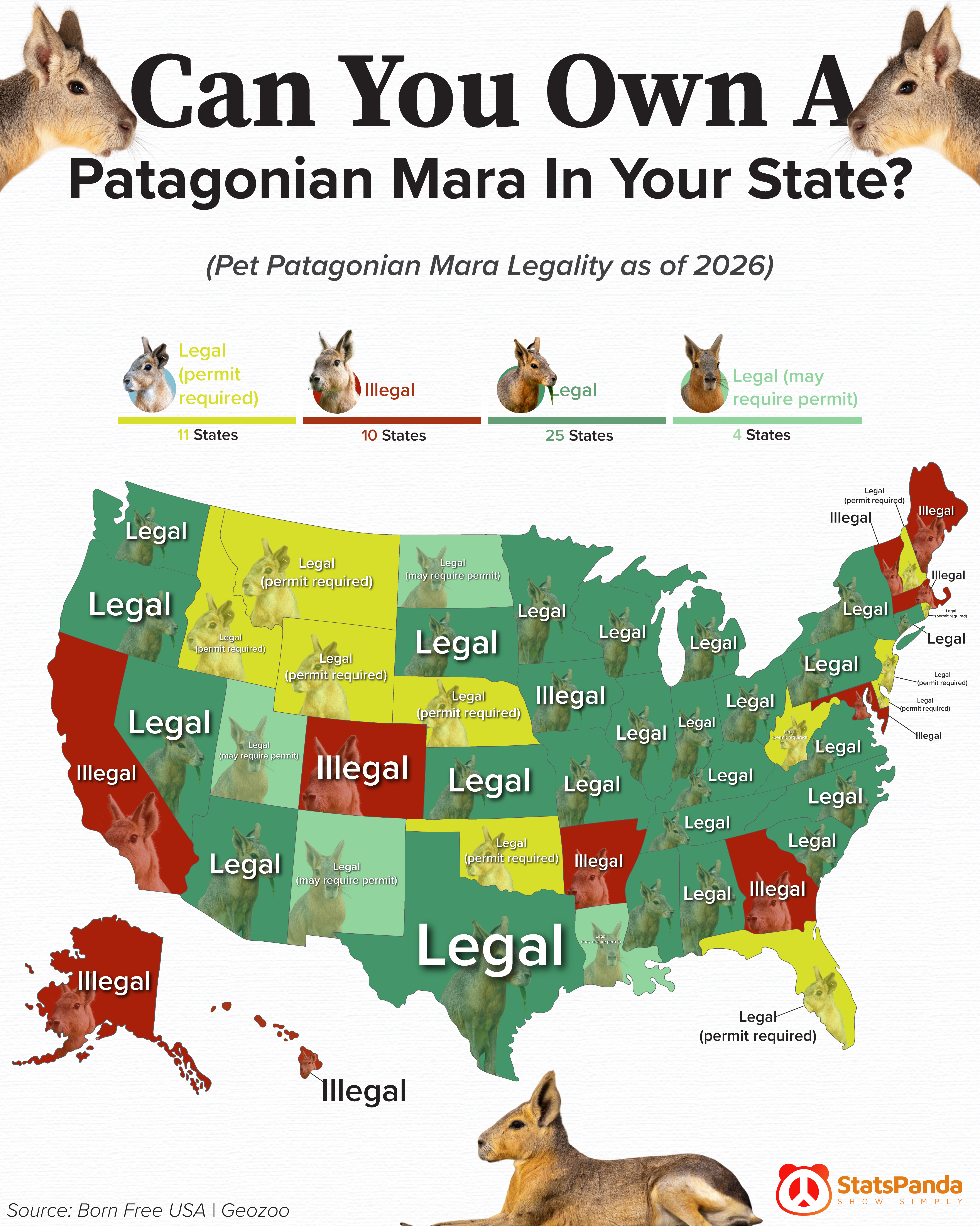 Map of pet Patagonian mara legality by state in the United States 2026 showing which states allow legal mara ownership with or without permits